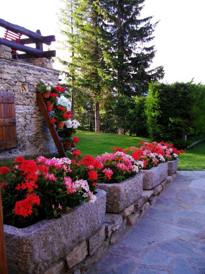 Le Petit Chateau De Vetan Cir 0023 Saint-Pierre Dış mekan fotoğraf